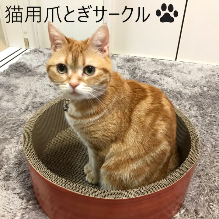 楽天市場 猫用爪とぎ サークル 段ボール製 爪とぎ 爪みがき デザイン 紙製 猫用 爪研ぎ 爪磨き ねこ ネコ ガリガリ バリバリ段ボール つめとぎ 赤ちゃんの肌着 ほほえみ工房