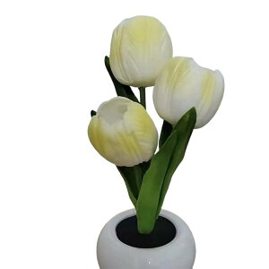 �a���� �`���[���b�v���C�g USB�[�d�� �� ������ �d�r�� ���͋C �C���A�b�v �i�C�g���C�g �Q�� �`���[���b�v���C�g USB���d�� �Ɩ� ���� �v���[���g �����v �M�t�g �ޏ� ���}�� �Q�� �x�b�g��