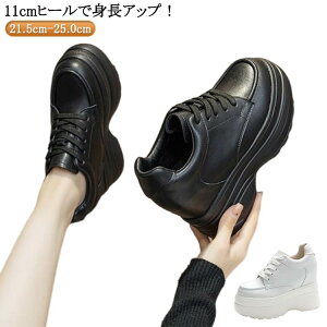 Cq[Xj[J[ Xj[J[ 11cm ꂢ  fB[X  JWA q[Abv Xj[J[ _CGbgXj[J[ V[NbgV[Y PUU[ EH[LOV[Y  