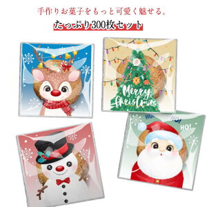 300 NX}XbsO opp  肨َq َq ۑobO  MtgobO  bsO W LfB   ȔS `R[g Lf