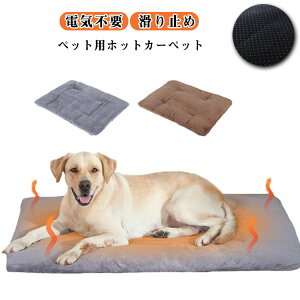 ybgpq[^[ ۉpbh ybgpzbgJ[ybg ybgpzbgJ[ybg 24 5w̕ۉ݌v zbg}bg Mѕz g[ybgpbh ̉~M ybgpѕz ybgp xbh 