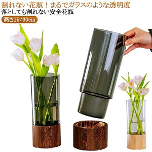 �傫�� ����25/30cm ���� ������� ��֑}�� �ؐ� �t�����[�x�[�X PET�� �A�N�����Ȏ��� �Q�� �C���e���A ���� �傫�� �}�� �ԕr ����Ȃ� ��^ �M�t�g �O���[�� �m�� ���� �Ԋ� ���� �z�e�� �G