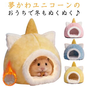 h[^ nEX jR[  A ӂӂ B Q xbh h   ۉ bg nX^[ nlY~ LN} ΍ ~p NbV H~  L