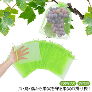 t[c 300 ʎ hlbg | \h ʎ ʎ 悯lbg  Ԃǂ В ݂ ʕ ʎ ʋC bV ʎ ی ʎ   Ȃ т یlbg 