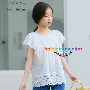 ؍q ̎q [X vZX Vc   Vc   zCg Vc a  LbY gbvX  Vc Pl s ][g Vc  Vc  