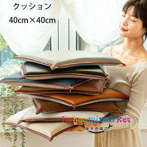NbV 40cm×40cm NbV }bg ԃNbV QNbV oNbV zc lpNbV XNGANbV  a rO[ Q ̈U  