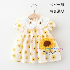 y6%OFFN[|z؍q xr[ s[X ԕ XEB[g Ђ܂蕿 s[X LbY  s[X ̎q a  s[ ۈ牀 ct s[X  CG