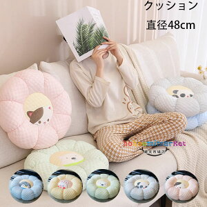 ۂNbV a48cm t  H ~  zc yMAETMAzbLNO}Ap_AL }bg ԃNbV QNbV oNbV qp NbV 