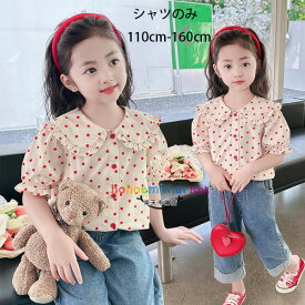 韓国子供服 女の子 シャツブラウス ページュ ドット柄 シャツ 可愛い おしゃれ トップス キッズ 半袖 シャツ ラペル ブラウス 純綿 薄手 通学着 夏着 ガールズ ドット柄 ブラウス 小学生 お出かけ スウィート シャツ 子ども 女児 ブラウス 110 120 130 140 150 160