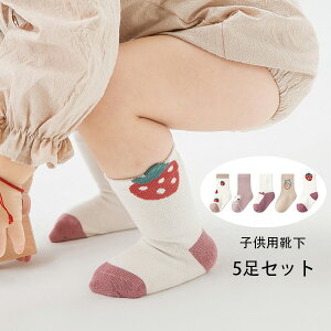 xr[ C qp C t  H n \bNX VvA킢 C 5Zbg ̎q  C qǂ V Ԃ xr[ C ʉ ʊw \bNX 5g Cxg a 