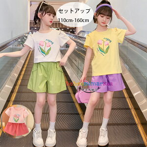 ؍q ̎q ZbgAbv O[ p[v sN 킢 ㉺Zbg i ʊw Ē LbY TVc+V[c 2_Zbg   ԕ TVc  ێ TVc