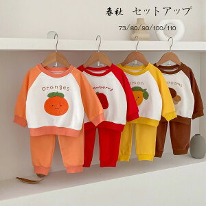 q xr[ tH ZbgAbv LbY ㉺Zbg 2_Zbg ̎q j̎q Zbg   LmR ~J ^ ʉ ʊw t H ؍ qǂ  XEFb