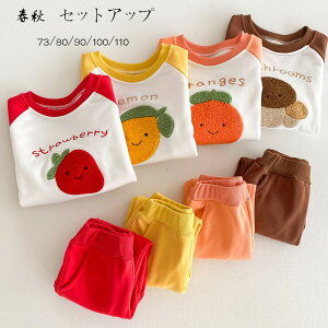 q xr[ tH ZbgAbv LbY ㉺Zbg 2_Zbg ̎q j̎q Zbg   LmR ~J ^ ʉ ʊw t H ؍ qǂ  XEFb