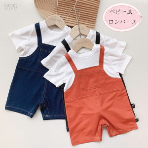 Jo[I[ p[X LbY xr[ Ԃ jp Ԃ V ATu fj    Vi ʉɑ劈 Z o oq ubN u[ IW lC 66cm 7