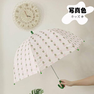 LbY P ̎q qp P  Jp ԕ JP P H JP 8{ 蓮 q w ct c ՔM Ռ 傫 ЂP Ăh~ AEghA ϕ ~JΉ 