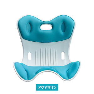 p ֎q 邾ɂȂȂNbV ItBX`FA/Q[`FA//֎qpNbV ՃT|[g`FA  ֎q y ^т₷ 120kg܂őΉ [ K