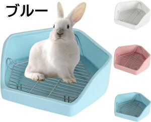 p gC P[W ``pg 킢 Op gC L p ݖh~ ԃXmRt ̃gC ``pgp gCg[jO