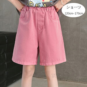 ؍q ̎q W[Y fjpc sN V[gpc LbY V[c Y{ {gX Y{  fjpc Ē o w qǂ ǂ ̎q fjV