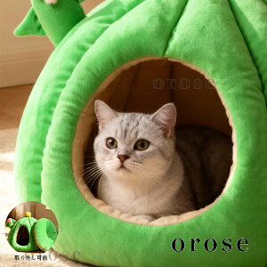  ybgnEX h[^ ybgxbh  킢 pxbh Lpxbg ӂӂ   H~ 薰 Lxbh O[ 􂦂  ϋv ^ 