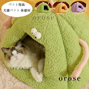  ybgpi  ybgnEX h[^ ybgxbh pxbh Lpxbg ӂӂ  LnEX H~ Vi 薰 ybg NbV Lxbh 􂦂 