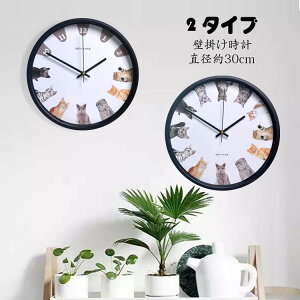 12C` Ǌ|v |v k  L lC É EH[NbN Vv Ǌ| v AiO   傫 a30cm v  IV Ȃ |v Vz C