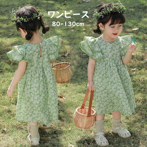 tăs[X ̎q ԕs[X K[  xr[ LbY  tA ǂ q  p[eB[/t/\ ct ۈ牀 ʊw  IV O[  JW