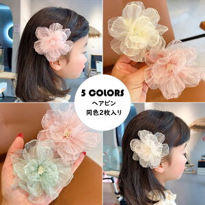 yzvZX F2 vZXwAs  t[  Pl Pn wAANZT[ ̎q qg ins IV  ANZT[ p[eB[/