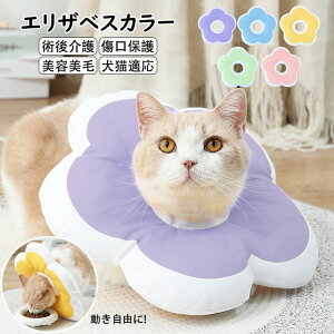 GUxXJ[ y L  ybgp񕜋 \ _炩 t[^ L \tg ی y ybgی ybgpi ȒP LK p PA ی rߖh~ 