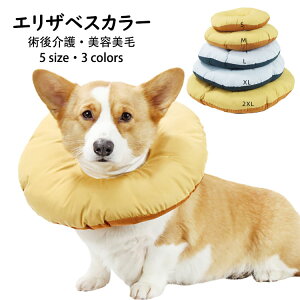 GUxXJ[ y L  ybgp񕜋 \ _炩 ֌^ L \tg ی y ybgی ybgpi ȒP LK p PA ی rߖh~ 