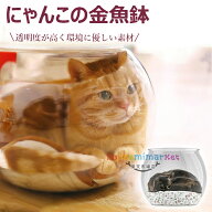 【6%OFFクーポン配布中！】にゃんこの金魚鉢 猫 透明 ペットハウス 猫ハウス 室内用 猫 金魚鉢 子猫用金…