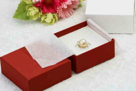 ペーパーボックス ベリーレッドペンダントトップ・イヤリング・ピアス用横68mm　縦68mm　厚さ30mm　【ラッピングは別】　【ネコポス配送不可】