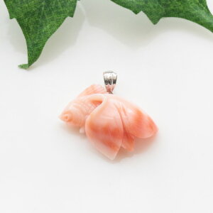 sNTS@i[CXj@@@y_ggbv@bL