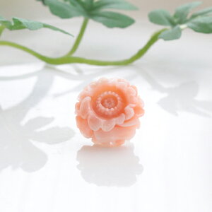 sNTS@ i[CXj@Ԓ@su[`/^bNs@^J