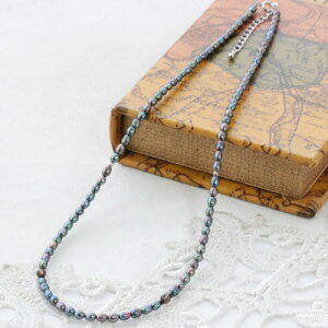 W^쏈@CX@X[L[NH[c@ubNXsl@w}^Cg@lbNX@46`47cm()+5cmAWX^[@^JqLAWX^[