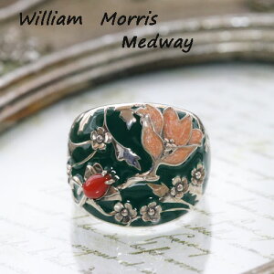 RWG[ EBAEX whEFC xӓnTSVo[925@11@OWilliam@MorrisyIIzTCYspBOXt