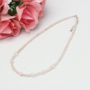 ^/sNX/Wp[lbNX43cm(֍)Vo[AWX^[