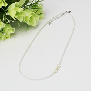 ^/viCg/Fp[clbNXF43cmiցjVo[AWX^[