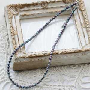 W^쏈@CX@VvlbNX@41cmij{5cmAWX^[@^JqLAWX^[