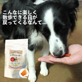 楽天市場 犬 足 腰 サプリの通販 楽天市場 犬 足 腰 サプリの通販