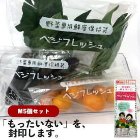 ベジフレッシュM 5個セット 冷蔵保存 フリーザーバッグ おすすめ 長持ち 食品ロス チャック付袋 ジッパー付 鮮度保持 食品保存袋 鮮度保持 鮮度保持袋 小分け袋 便利 お手軽 野菜 肉 果物 フルーツ 食品 冷凍 常温 節約 業務用 大容量 送料無料