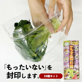 サラダ保管計画10個セット 冷蔵保存 フリーザーバッグ おすすめ 長持ち 食品ロス チャック付袋 ジッパー付 鮮度保持 食品保存袋 鮮度保持 鮮度保持袋 小分け袋 便利 お手軽 野菜 肉 果物 フルーツ 食品 冷凍 常温 節約 業務用 大容量 送料無料