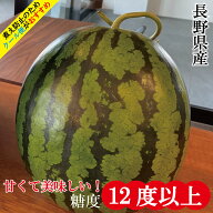 スイカ 長野 甘い 大玉 果物 高糖度 フルーツ ギフト 人気商品 お供え 敬老の日 お中元 糖度12度 糖度12…