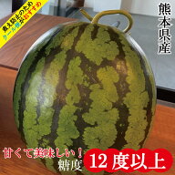 スイカ 熊本 甘い 大玉 果物 高糖度 フルーツ ギフト 人気商品 お供え 敬老の日 お中元 糖度12度 糖度12…