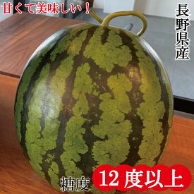 スイカ 長野 甘い 大玉 果物 高糖度 フルーツ ギフト 人気商品 お供え 敬老の日 お中元 糖度12度 糖度12度以上 4L以上 8〜11キロ お取り寄せ 数量限定 グルメ 旬 送料無料