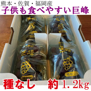 햳 ʕ Ԃǂ  ~ ފ hV̓  Ԍ ʌ Yn Â lCi t[cMtg ʕMtg1.2L yz