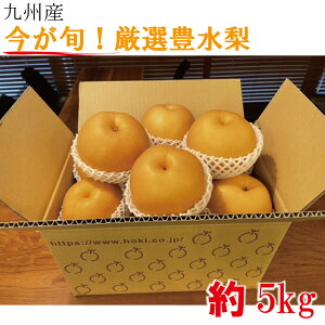 I 5L L Ԍ ʌ Yn Â lCi t[cMtg ʕMtg BY yz