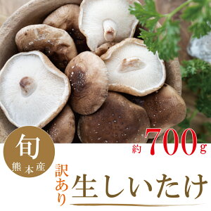 󂠂萶ő 700g Ԍ ʌ Yn lCi F{Y N[ցyz