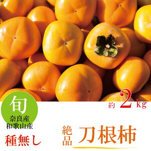 ` ` Ê` Ԍ ʌ Yn Â lCi t[cMtg ʕMtg ޗǎY a̎RY 햳 yz