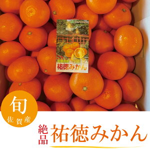 祐徳みかん 最上級ブランドみかん 期間限定 数量限定 産地直送 甘い 人気商品 フルーツギフト 果物ギフト 佐賀産 5キロ入 【送料無料】