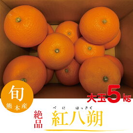 紅八朔 大玉 2L 3L サイズ みかん 柑橘類 期間限定 数量限定 産地直送 人気商品 フルーツギフト 果物ギフト 熊本産 5キロ入 【送料無料】
